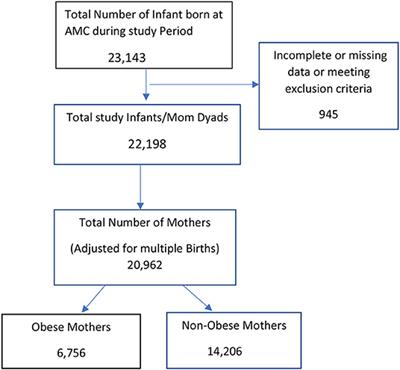 Maternal Obesity-Associated Neonatal Morbidities in Early Newborn Period